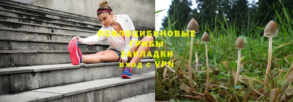 соль ск Алексеевка