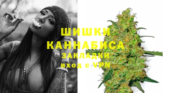 винт Аркадак